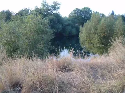 1507 E Sharp Ave, Spokane, WA 99202 photo 8