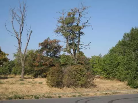 1507 E Sharp Ave, Spokane, WA 99202 photo 7