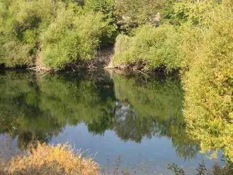1507 E Sharp Ave, Spokane, WA 99202 photo 5