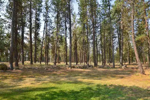 2010 E Smythe, Spangle, WA 99031 photo 18