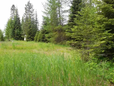 221 Dilling Rd, Cusick, WA 99119 photo 2
