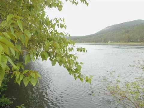 221 Dilling Rd, Cusick, WA 99119 photo 1