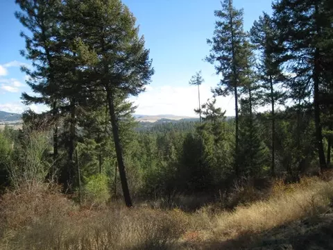 621 E Washington Rd, Spokane, WA 99224 photo 16