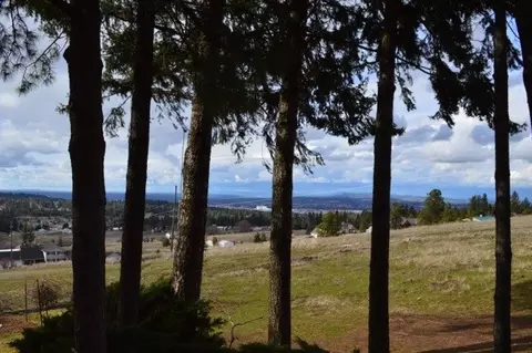 3205 S Eastern Rd, Spokane, WA 99223 photo 9