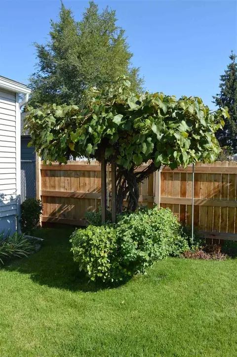 708 Everett Ave, Spokane, WA 99207 photo 18