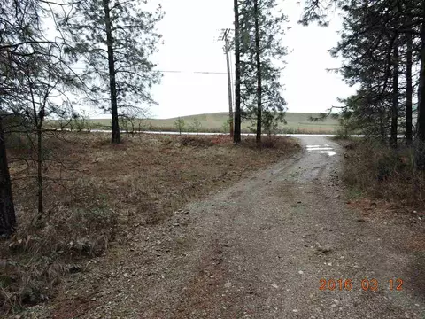 701 Kirkpatrick Rd, Elk, WA 99009 photo 19