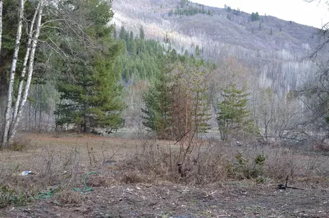 461 E Joyner Dr, Cusick, WA 99119 photo 9