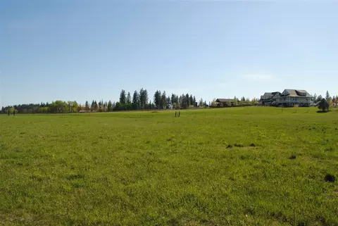 812 E Chattaroy Rd, Colbert, WA 99005 photo 10