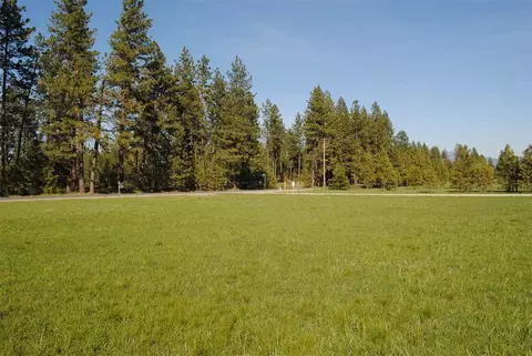 812 E Chattaroy Rd, Colbert, WA 99005 photo 9
