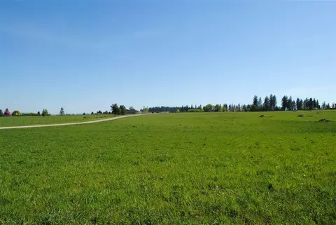 812 E Chattaroy Rd, Colbert, WA 99005 photo 6