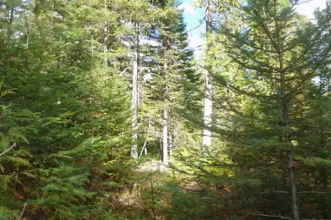 191 Meadowlark Ln, Cusick, WA 99119 photo 4
