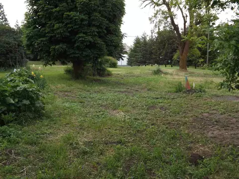 615 N Pine St, Spangle, WA 99031 photo 6