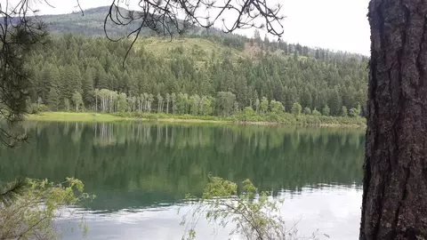 185 Riverview Dr, Cusick, WA 99119 photo 6