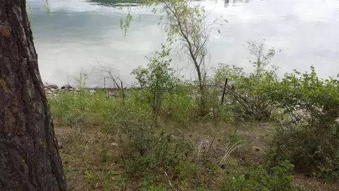 185 Riverview Dr, Cusick, WA 99119 photo 3