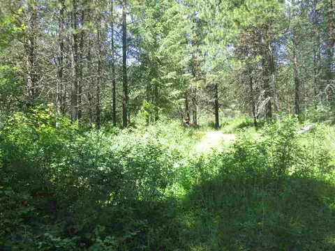 185 Riverview Dr, Cusick, WA 99119 photo 13