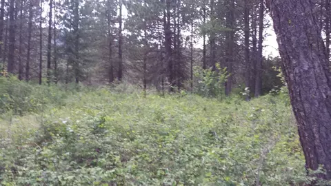 185 Riverview Dr, Cusick, WA 99119 photo 8