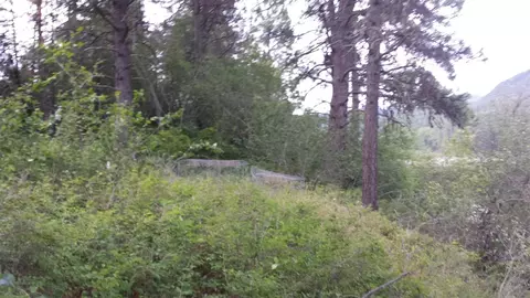 185 Riverview Dr, Cusick, WA 99119 photo 7