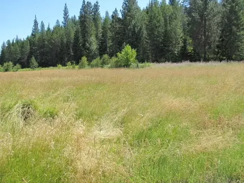 18182 Westside Calispell Rd, Cusick, WA 99119 photo 11