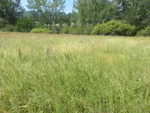 18182 Westside Calispell Rd, Cusick, WA 99119 photo 10