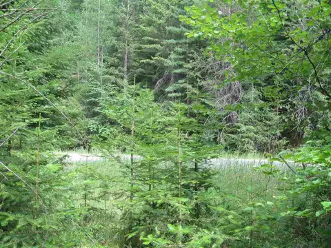 400 Chuck Wagon Ln, Cusick, WA 99119 photo 8