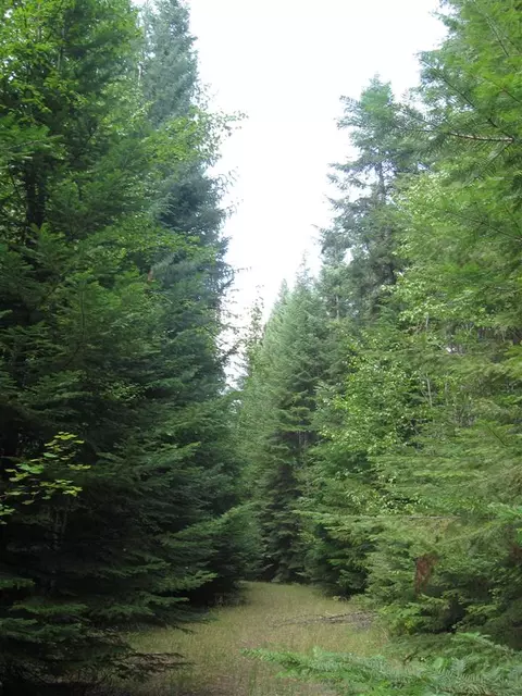 400 Chuck Wagon Ln, Cusick, WA 99119 photo 2
