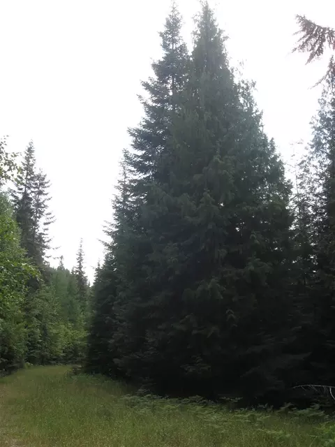 400 Chuck Wagon Ln, Cusick, WA 99119 photo 6