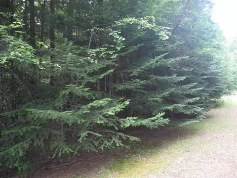 400 Chuck Wagon Ln, Cusick, WA 99119 photo 1