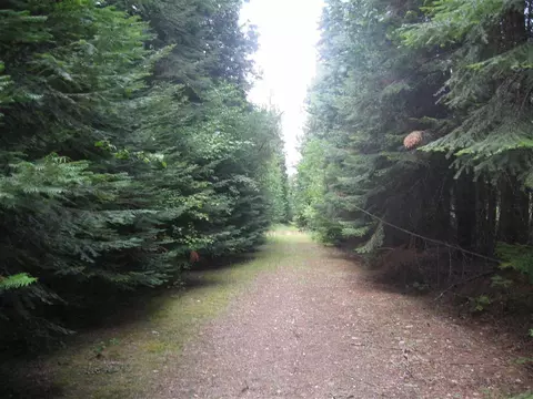 400 Chuck Wagon Ln, Cusick, WA 99119 photo 3