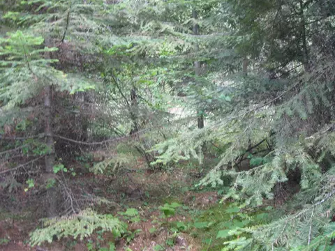 400 Chuck Wagon Ln, Cusick, WA 99119 photo 7