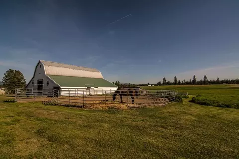 6412 E Oregon Rd, Elk, WA 99009 photo 14