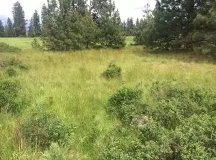 12007 E Summit Rd, Spokane, WA 99217 photo 7