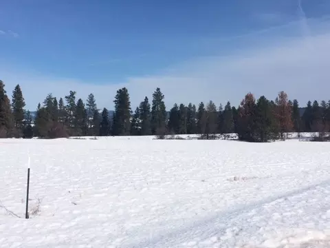 12007 E Summit Rd, Spokane, WA 99217 photo 2