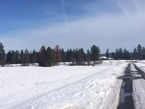 12007 E Summit Rd, Spokane, WA 99217 photo 3