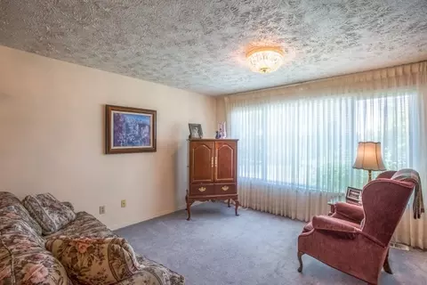 509 E Silver Pines Ct, Colbert, WA 99005 photo 4