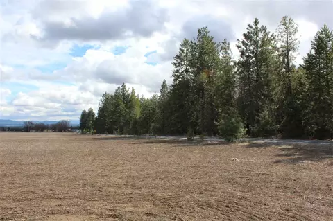 2606 W Monroe Rd, Colbert, WA 99208 photo 6
