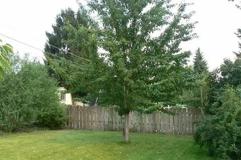 3510 N Ely Rd, Spokane, WA 99212 photo 18