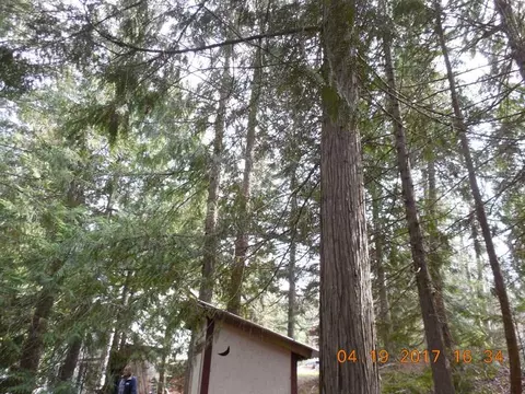406 Hazel St, Cusick, WA 99119 photo 5