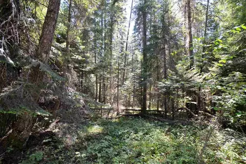 397 Arthurs Blvd, Cusick, WA 99119 photo 9