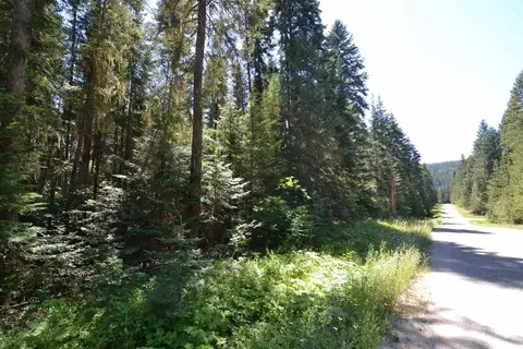 397 Arthurs Blvd, Cusick, WA 99119 photo 5