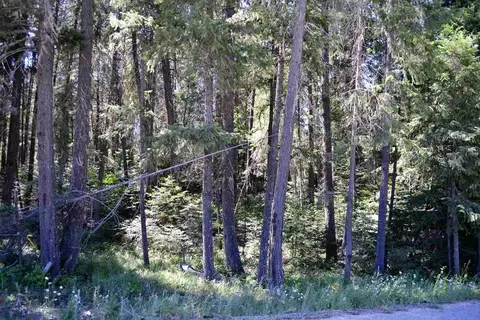397 Arthurs Blvd, Cusick, WA 99119 photo 7