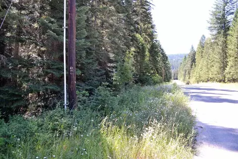 397 Arthurs Blvd, Cusick, WA 99119 photo 1