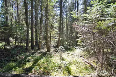 397 Arthurs Blvd, Cusick, WA 99119 photo 10