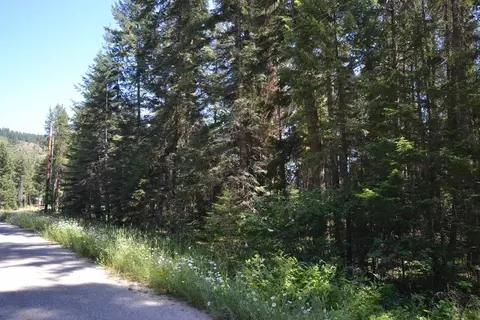 397 Arthurs Blvd, Cusick, WA 99119 photo 4