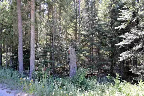 397 Arthurs Blvd, Cusick, WA 99119 photo 6