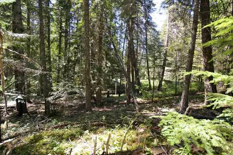 397 Arthurs Blvd, Cusick, WA 99119 photo 12