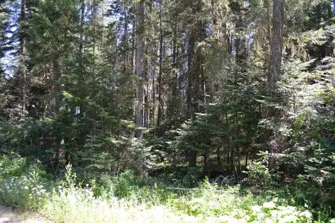 397 Arthurs Blvd, Cusick, WA 99119 photo 3