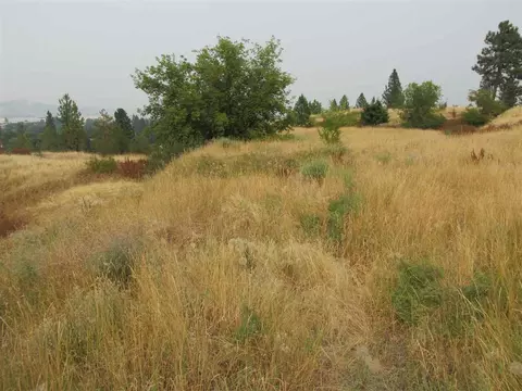 1829 E 7th Ave, Spokane, WA 99202 photo 5