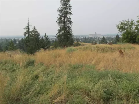 1829 E 7th Ave, Spokane, WA 99202 photo 3