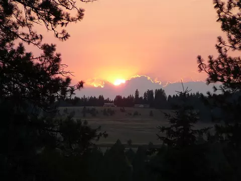 12325 E Frideger Rd, Elk, WA 99009 photo 19