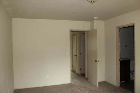 905 E Silver Pine Rd, Colbert, WA 99005 photo 8
